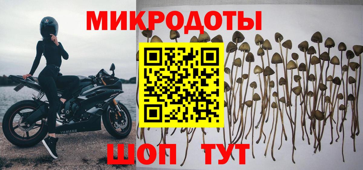 Печора  Галлюциногенные грибы мицелий  Вход с VPN 